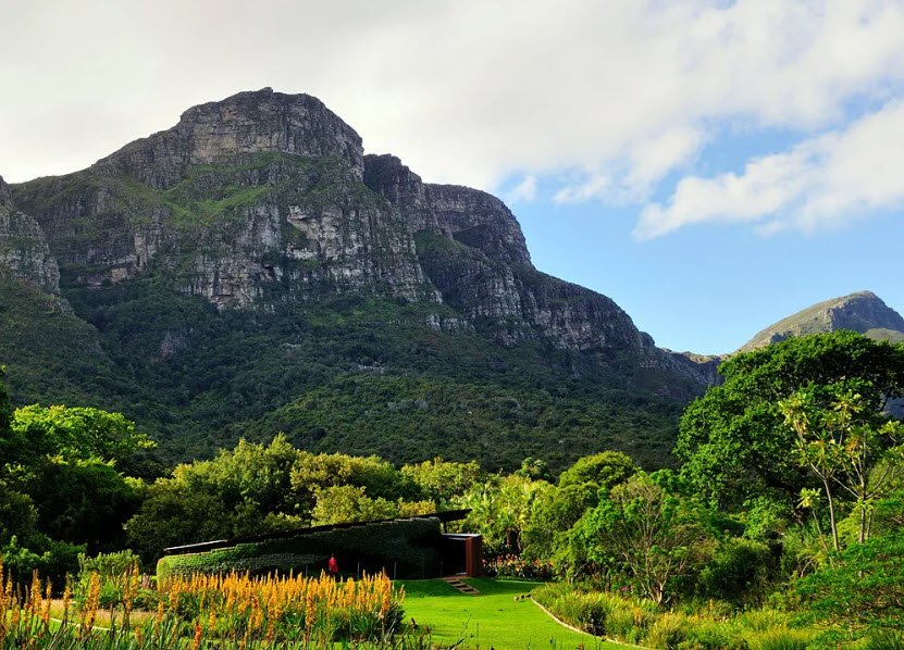 Kirstenbosch National Botanical Garden, South Africa
